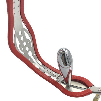 Details of Female Chastity Belt with Removable Anal & Vaginal Plugs